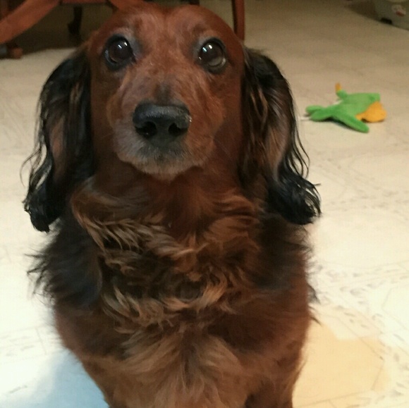 Meet your Posher, Marisa - Picture 1 of 1